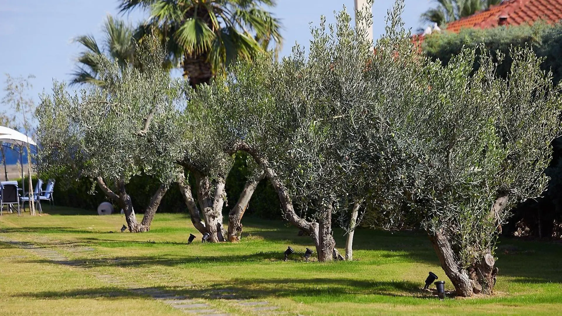 Aparthotel Flamingo View Suites & Villas Nea Poteidaia Greece