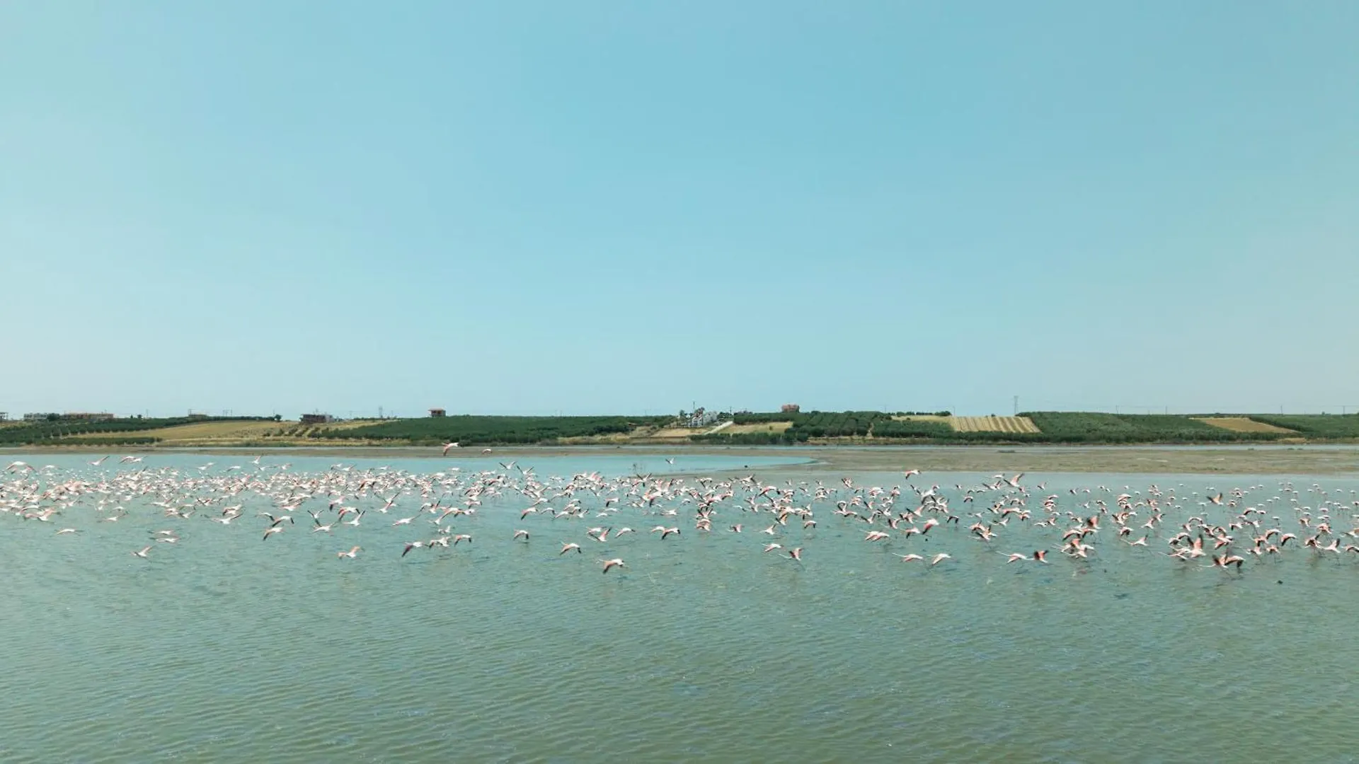 Flamingo View Suites & Villas 尼坡帝